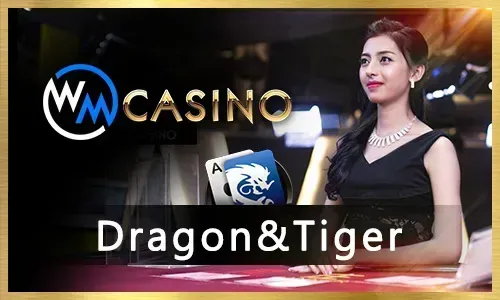 Live dealer casino experience at WINPH+777